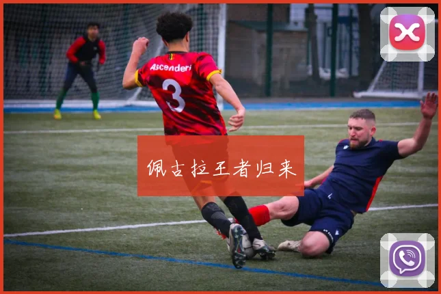 佩古拉王者归来
