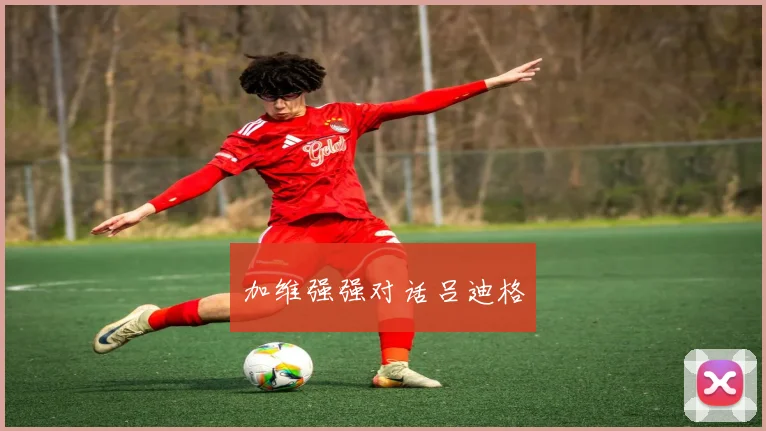 加维强强对话吕迪格