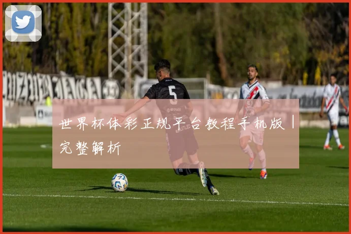 世界杯体彩正规平台教程手机版｜完整解析