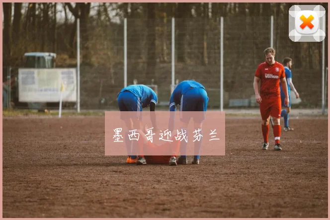 墨西哥迎战芬兰