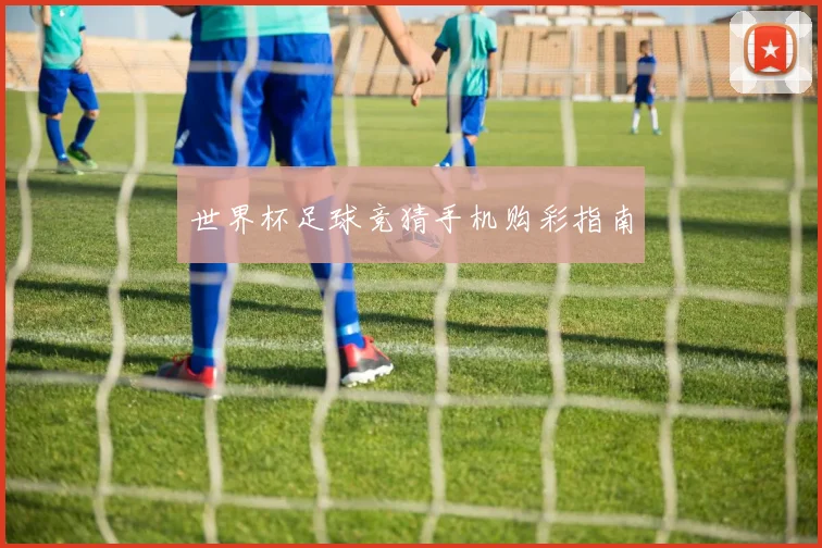 世界杯足球竞猜手机购彩指南